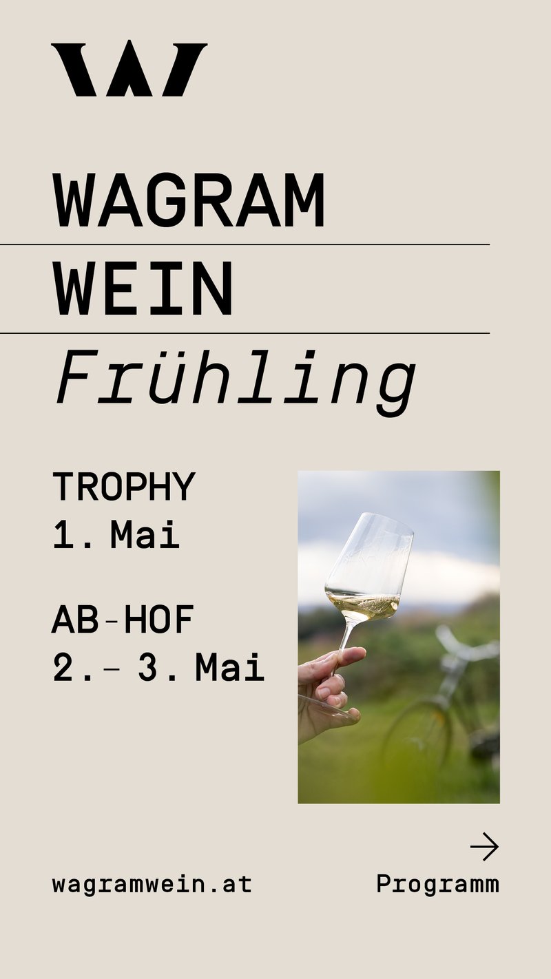Wagram - Wein - Frühling